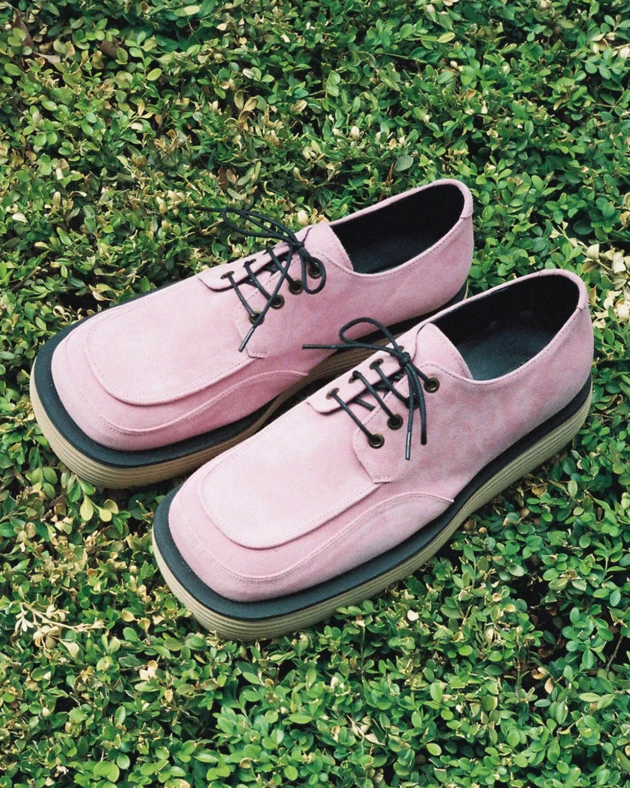 Andersson Bell Square Matine 23 Derby Shoes Aaa327M(Pink)-Men Shoes